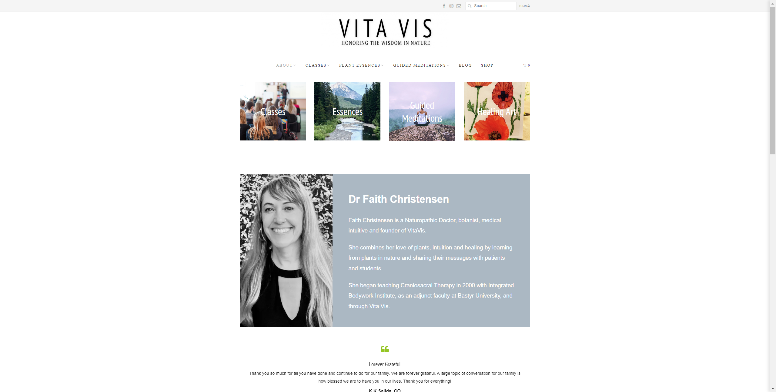 Screenshot of the original Vita Vis homepage before the redesign, showing cluttered navigation and older layout.