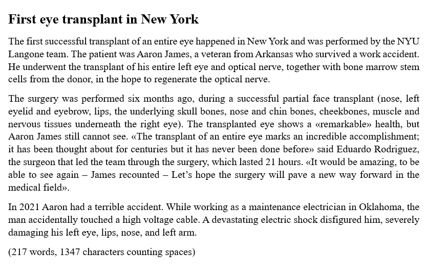 Screenshot of the initial English translation of the news article as provided by Anna Bellaro.